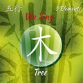 Five Feng Shui Elements Set