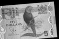 Five Fijian dollars banknote on a black background. Black and white