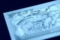 Five Fijian dollars banknote on a dark background close up. Money background blue color toned Royalty Free Stock Photo