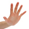 Five fingers Royalty Free Stock Photo
