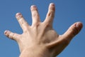 Five fingers Royalty Free Stock Photo