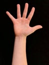 Five fingers of the palm and wrists. Hand of a man with open fingers on a black background Royalty Free Stock Photo