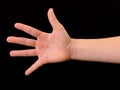 Five fingers of the palm and wrists. Hand of a man with open fingers on a black background Royalty Free Stock Photo