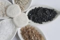 Five Flavors of Flaked Sea Salt with Sand Dollars