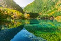 Five Flower Lake at autumn time. Jiuzhaigou nature reserve. Jiuzhai Valley National Park. Royalty Free Stock Photo