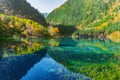 Five Flower Lake at autumn time. Jiuzhaigou nature reserve. Jiuzhai Valley National Park. Royalty Free Stock Photo