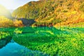 Five Flower Lake. China. Royalty Free Stock Photo