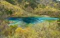 Five flower lake in Jiuzhaigou Royalty Free Stock Photo