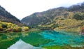 Five flower lake, Jiuzhaigou Royalty Free Stock Photo