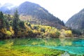 Five flower lake, Jiuzhaigou Royalty Free Stock Photo