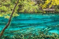 Nature is always beautiful. Five flower lake in Jiuzhaigou national park, Sichuan, China Royalty Free Stock Photo