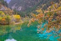 Five flower lake, Jiuzhaigou Royalty Free Stock Photo