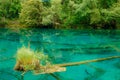 Jiuzhaigou National Park, China Royalty Free Stock Photo