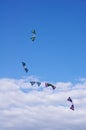 Five flying kites in the cloudy sky