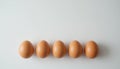 Five Fresh Brown Eggs on White Background Royalty Free Stock Photo