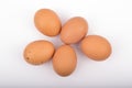 Five Fresh Eggs