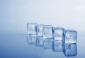 Five fresh ice cubes studio shot blue toning