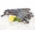 Five fresh rainbow trout with lemon on ice