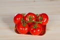 Five fresh red tomatoes with green stem in the tray , isolated on the background Royalty Free Stock Photo