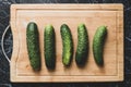 Five fresh ripe cucumbers on the wooden board Royalty Free Stock Photo