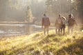 Five friends on a camping trip walking near lake, back view Royalty Free Stock Photo