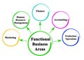 Functional Business Areas