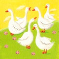 Five funny geese