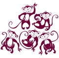 Five funny monkeys.