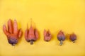 Five funny ugly fresh carrots lie on a yellow background. Vegetarian food concept