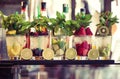 Five glasses of mojito with fruits. Fruit Alcoholic Cocktails