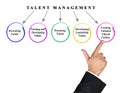 goals of talent management