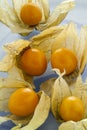 Five Goldenberries on Blue Plate Royalty Free Stock Photo