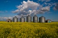 Five grain bins