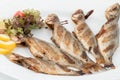 Five grilled fish on plate