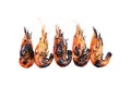 five grilled prawns isolated on white