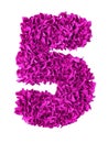 Five. Handmade number 5 from magenta color scraps of paper Royalty Free Stock Photo