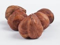Five hazel nuts Royalty Free Stock Photo