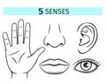 Five human senses