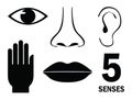 Five human senses Royalty Free Stock Photo