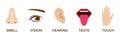 Five human senses icons set. Cartoon design nose, eye, hand, ear and mouth