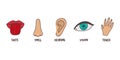 Five human senses line icons set. Vision, smell, hearing, touch, taste icons. Human sensory organs. Eye, nose, ear, hand Royalty Free Stock Photo