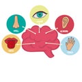 Five human senses line icons set. Vision, smell, hearing, touch, taste icons. Human sensory organs. Eye, nose, ear, hand Royalty Free Stock Photo