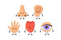 Five human senses organs kawaii characters set. Nose, ear, hand, tongue and eye hold hands. Cute sensory organs. See Royalty Free Stock Photo