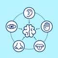 Five human senses surrounding brain. Royalty Free Stock Photo