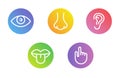 Five human senses vision eye, smell nose, hearing ear, touch hand, taste mouth and tongue. Line vector icons set Royalty Free Stock Photo