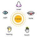 Five human senses vision , hearing, smell, touch and taste vector line icon illustration.