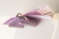 Five hundred Euro bill in wave shape with money clip