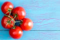 Five Hydroponic tomatoes on stem with copy space Royalty Free Stock Photo