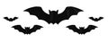 Five Isolated black bats of different sizes on a white background Royalty Free Stock Photo