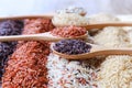 Five kinds of rice on wooden spoon
